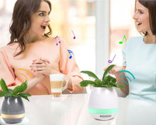 Load image into Gallery viewer, Music Plant Pot