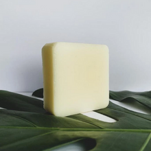 Load image into Gallery viewer, Splash Conditioner Bar