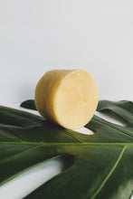 Load image into Gallery viewer, Splash Shampoo Bar