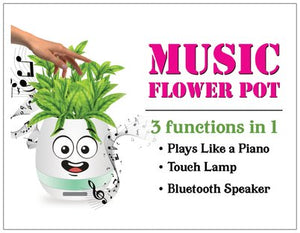 Music Plant Pot