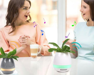 Music Plant Pot