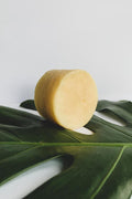 Splash Shampoo Bar