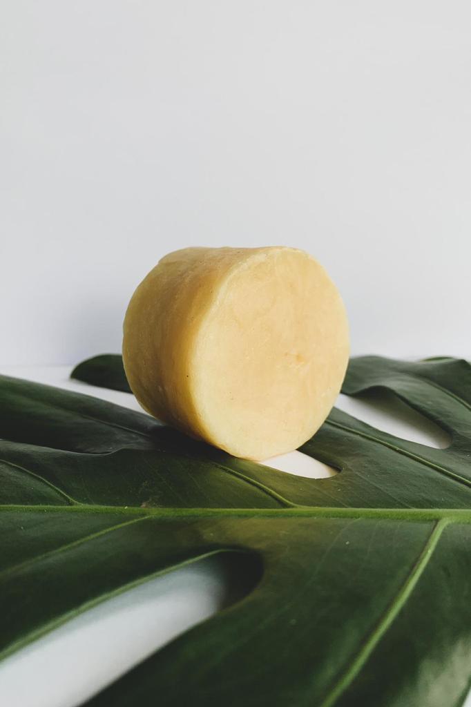 Splash Shampoo Bar
