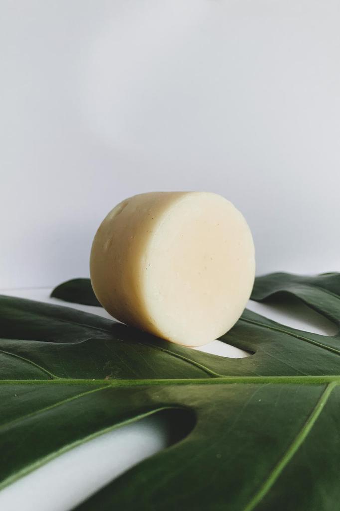 Splash Shampoo Bar