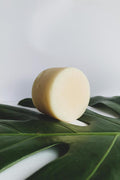 Splash Shampoo Bar