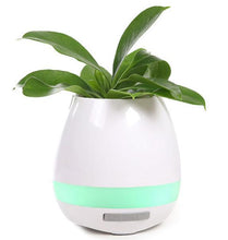 Load image into Gallery viewer, Music Plant Pot
