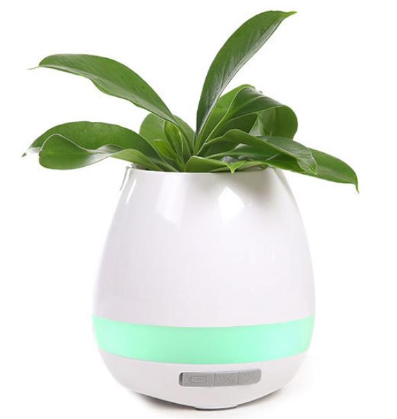 Music Plant Pot